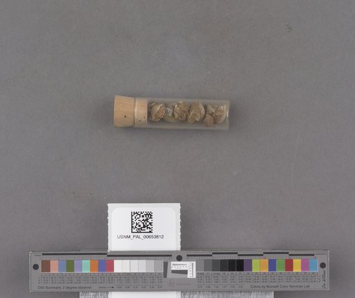 NSF ADBC EPICC TCN