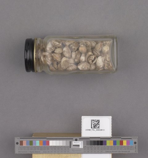 NSF ADBC EPICC TCN
