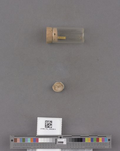 NSF ADBC EPICC TCN