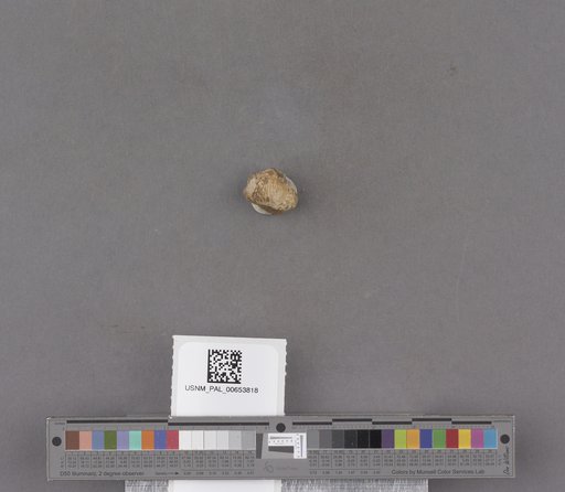 NSF ADBC EPICC TCN