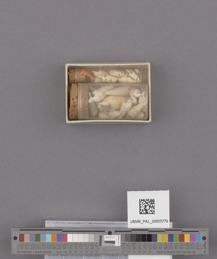 NSF ADBC EPICC TCN