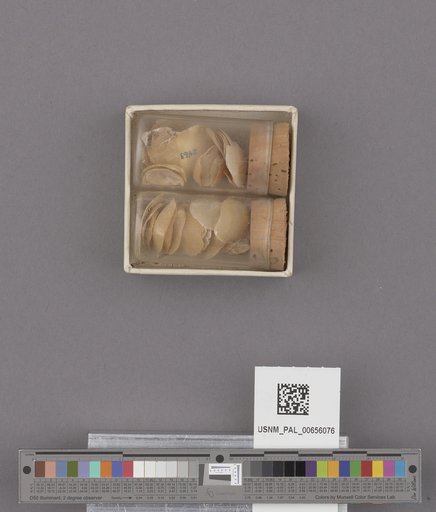 NSF ADBC EPICC TCN