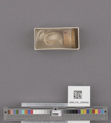 NSF ADBC EPICC TCN