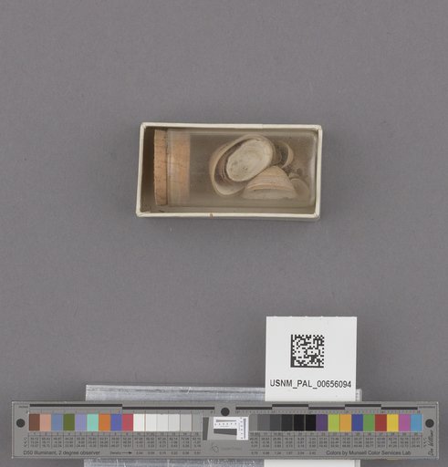 NSF ADBC EPICC TCN