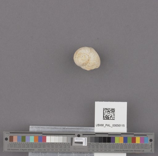 NSF ADBC EPICC TCN