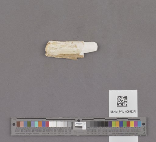 NSF ADBC EPICC TCN