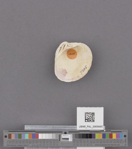 NSF ADBC EPICC TCN