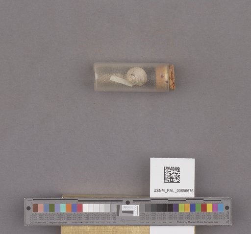 NSF ADBC EPICC TCN