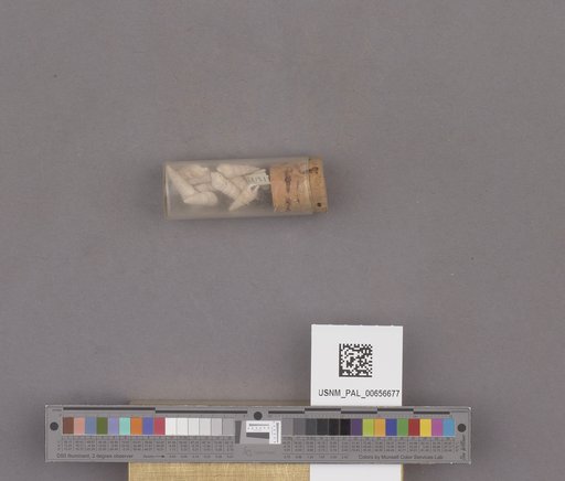 NSF ADBC EPICC TCN