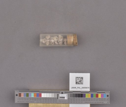 NSF ADBC EPICC TCN