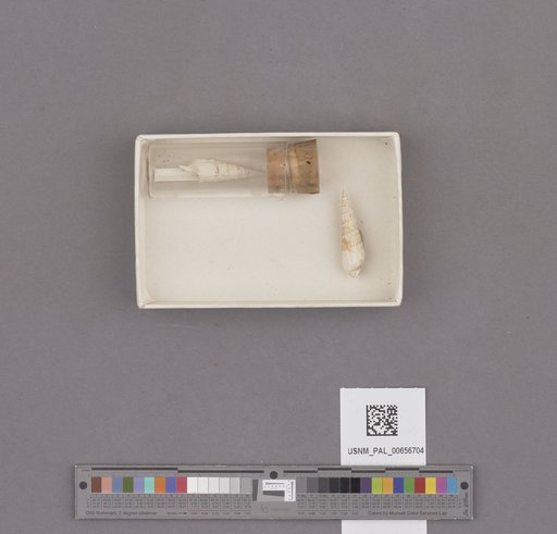 NSF ADBC EPICC TCN