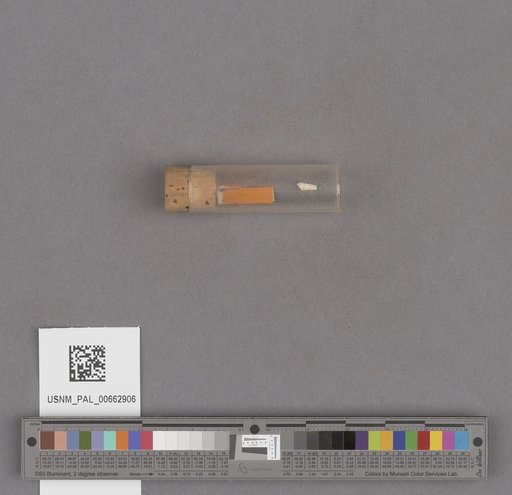 NSF ADBC EPICC TCN