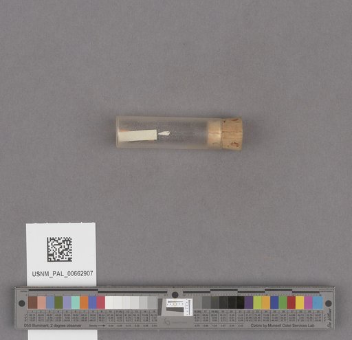 NSF ADBC EPICC TCN