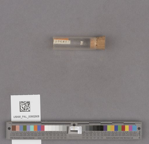 NSF ADBC EPICC TCN