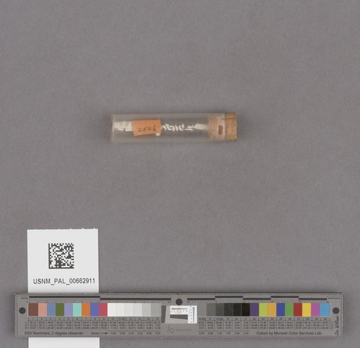 NSF ADBC EPICC TCN