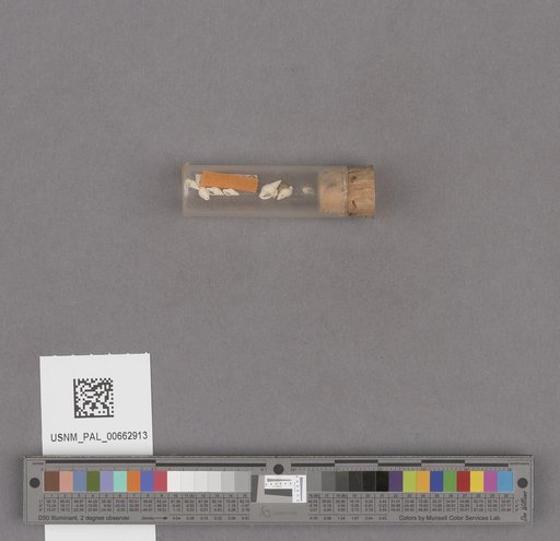 NSF ADBC EPICC TCN