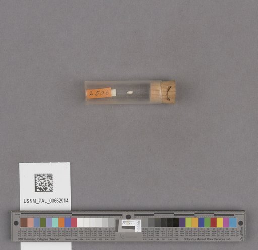 NSF ADBC EPICC TCN
