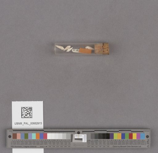 NSF ADBC EPICC TCN