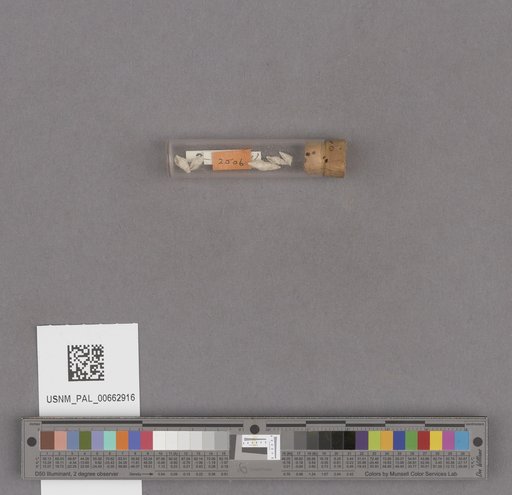 NSF ADBC EPICC TCN