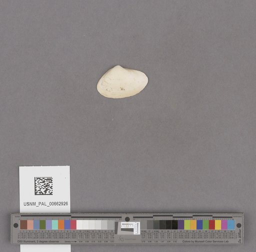 NSF ADBC EPICC TCN