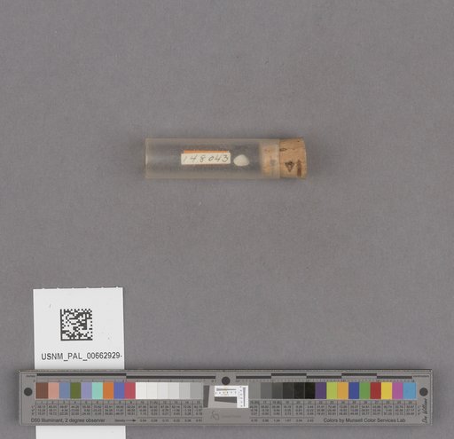 NSF ADBC EPICC TCN