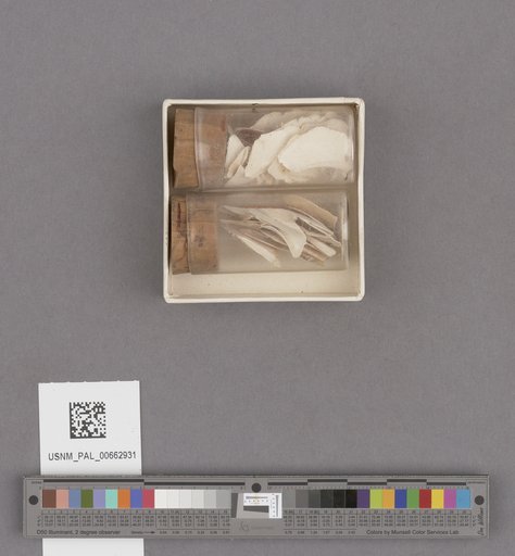 NSF ADBC EPICC TCN
