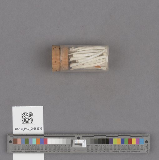 NSF ADBC EPICC TCN