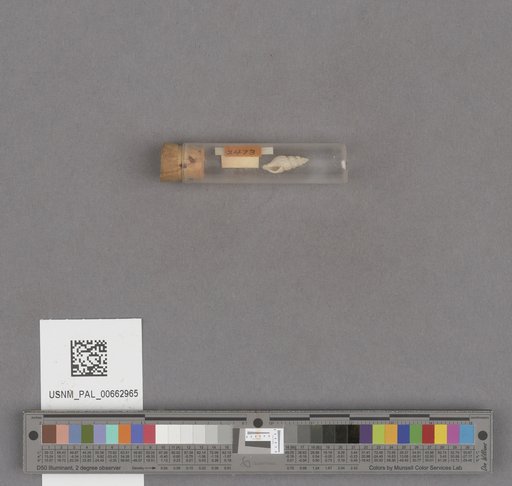 NSF ADBC EPICC TCN