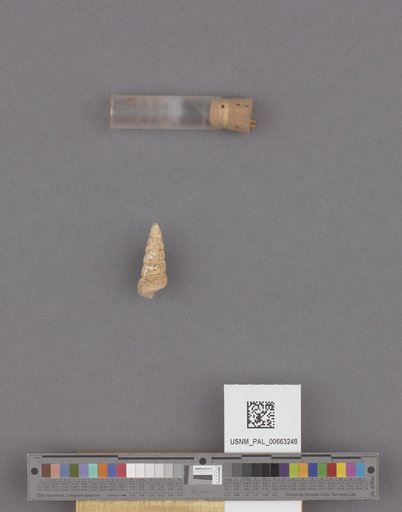 NSF ADBC EPICC TCN