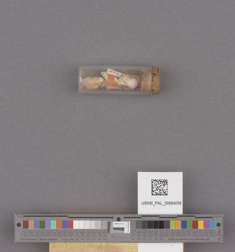 NSF ADBC EPICC TCN