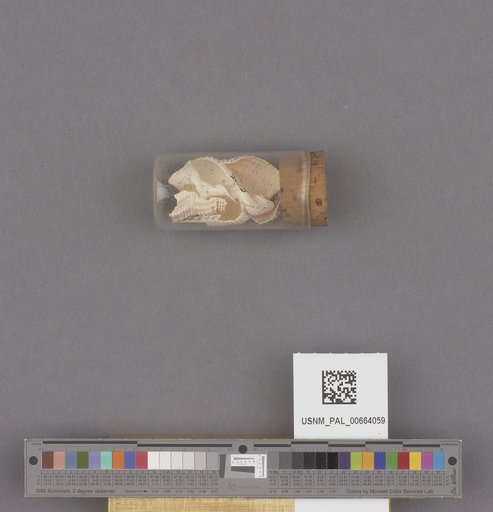 NSF ADBC EPICC TCN