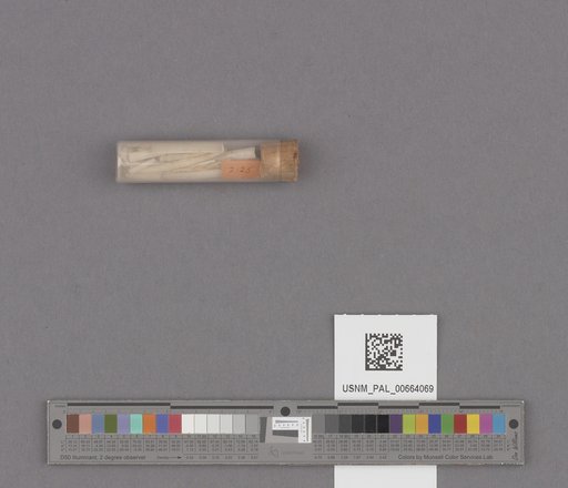 NSF ADBC EPICC TCN