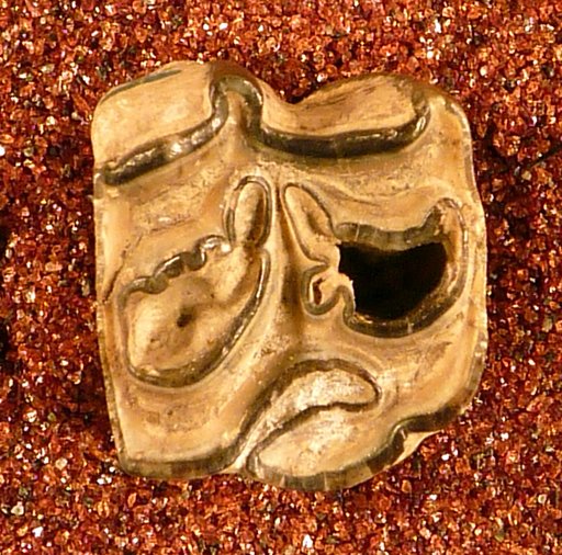 Protohippus placidus Leidy, 1869