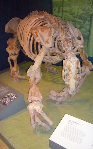 Eremotherium laurillardi