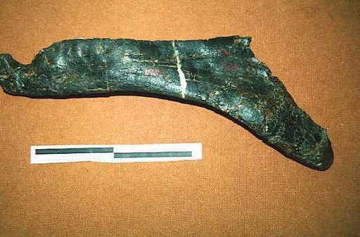 Labrosaurus ferox Marsh, 1884