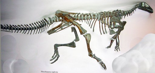 Thescelosaurus neglectus Gilmore, 1913