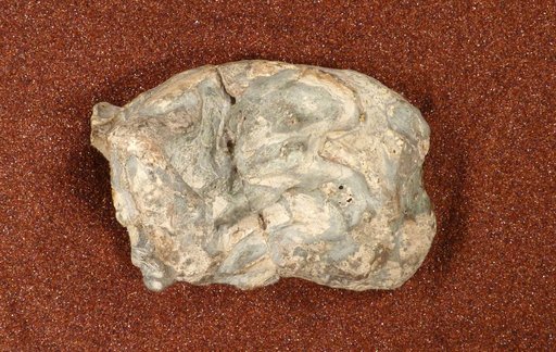 Diictodon feliceps Owen, 1876