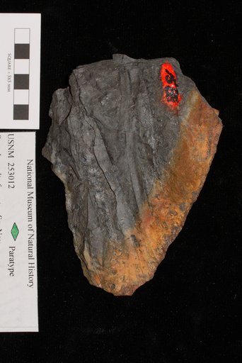 Unidentified