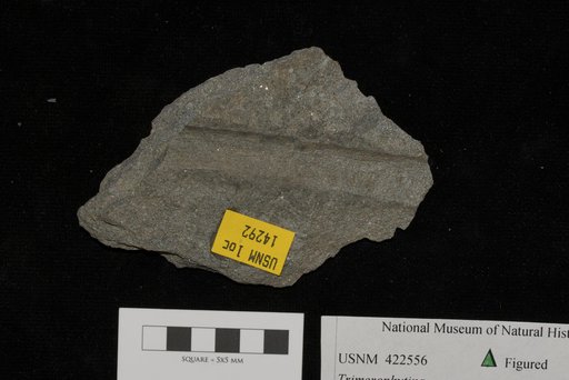Unidentified