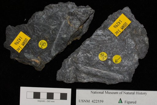 Unidentified