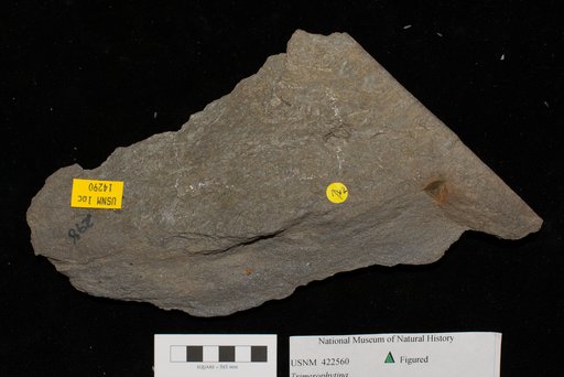Unidentified