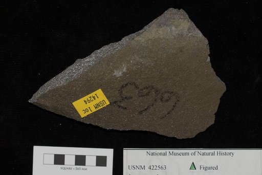 Unidentified