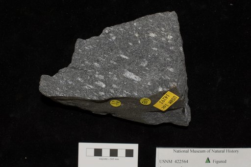 Unidentified