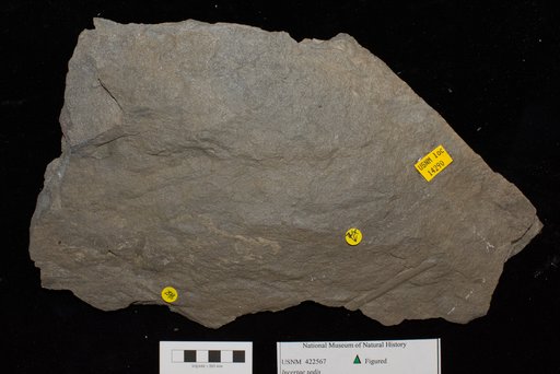 Unidentified