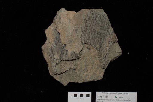 Unidentified