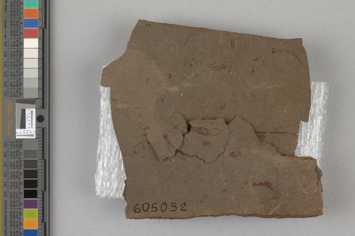 Callichimaera perplexa Luque et al., 2019