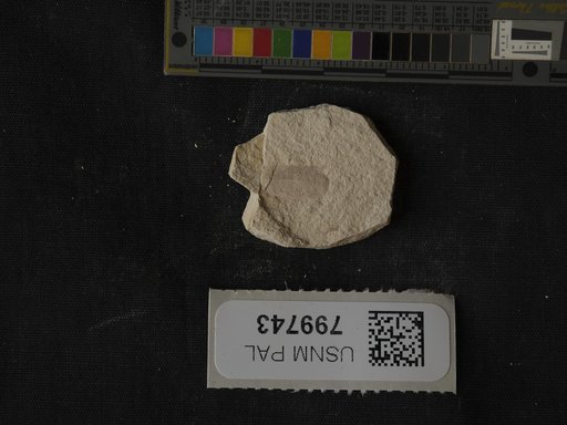 Unidentified