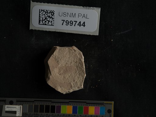 Unidentified