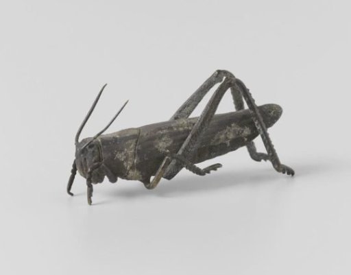 Locust