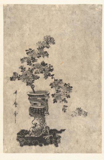 Chrysanthemums in a vase